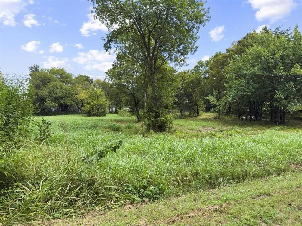 0.27 acres in Fannin County - photo 11