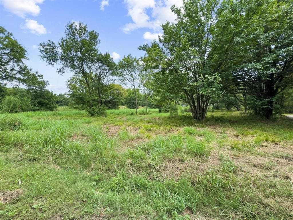 0.27 acres in Fannin County - photo 16