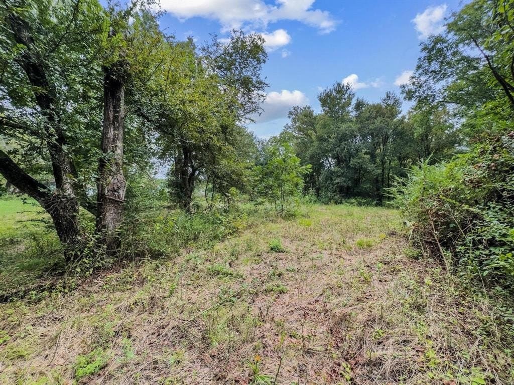0.27 acres in Fannin County - photo 12