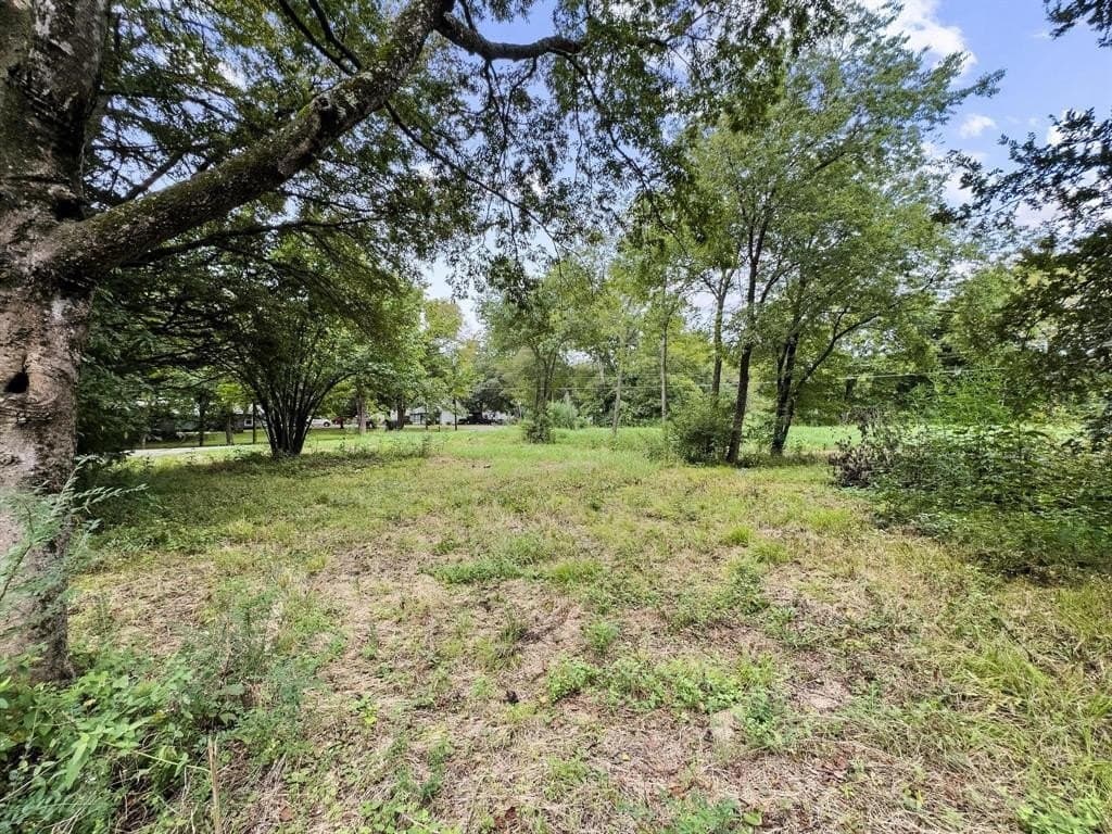 0.27 acres in Fannin County - photo 5
