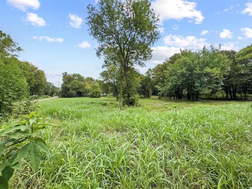 0.27 acres in Fannin County - photo 6