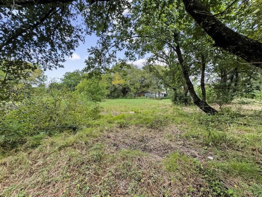 0.27 acres in Fannin County - photo 7