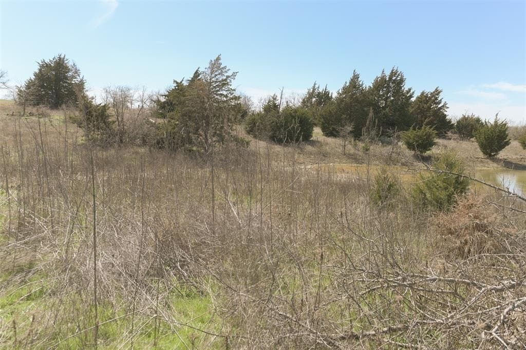 2 acres in Ellis County - photo 17
