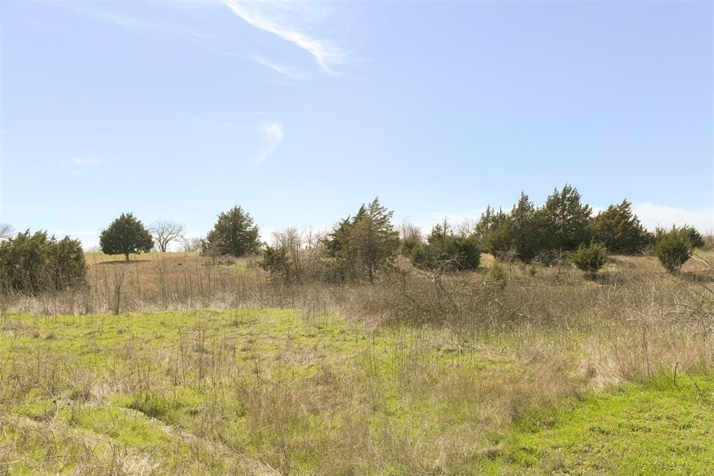 2 acres in Ellis County - photo 14