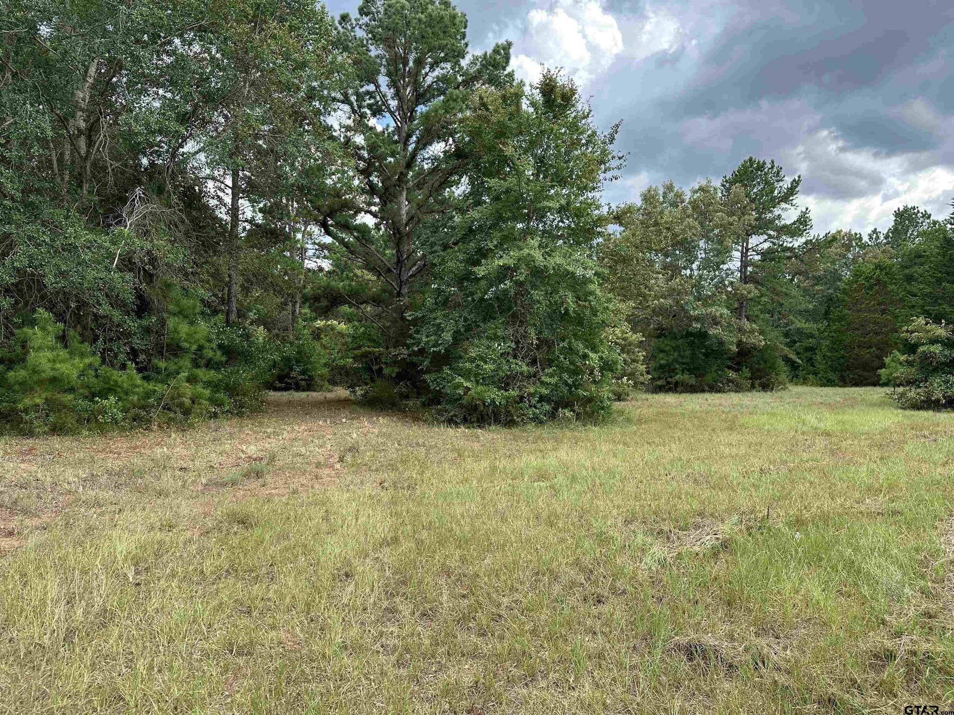 42.48 acres in Anderson County - photo 17