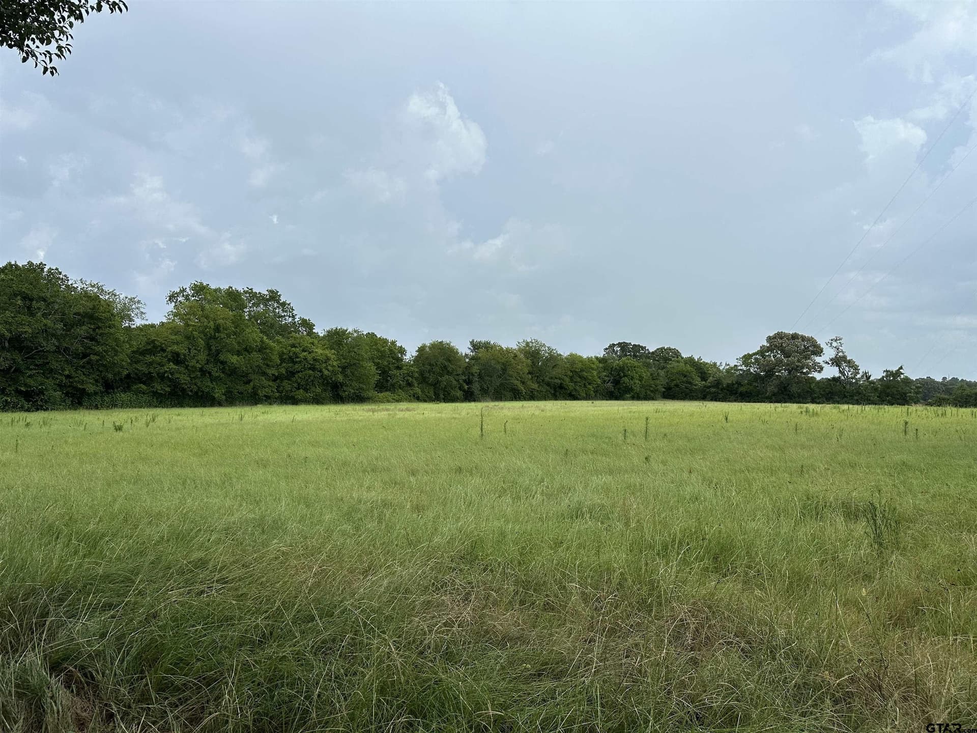 3697 An County Road 309 Tract 2