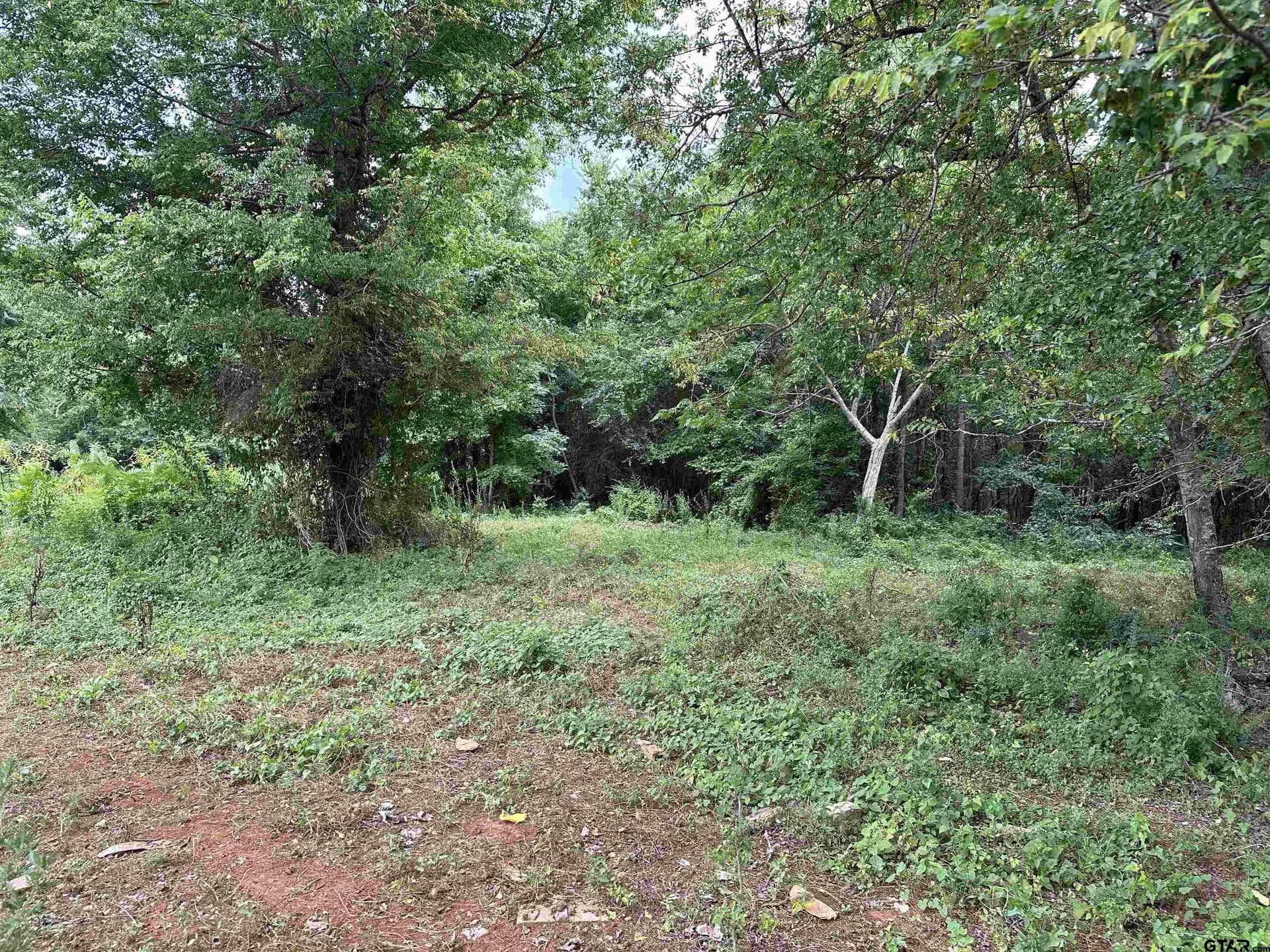 42.48 acres in Anderson County - photo 12