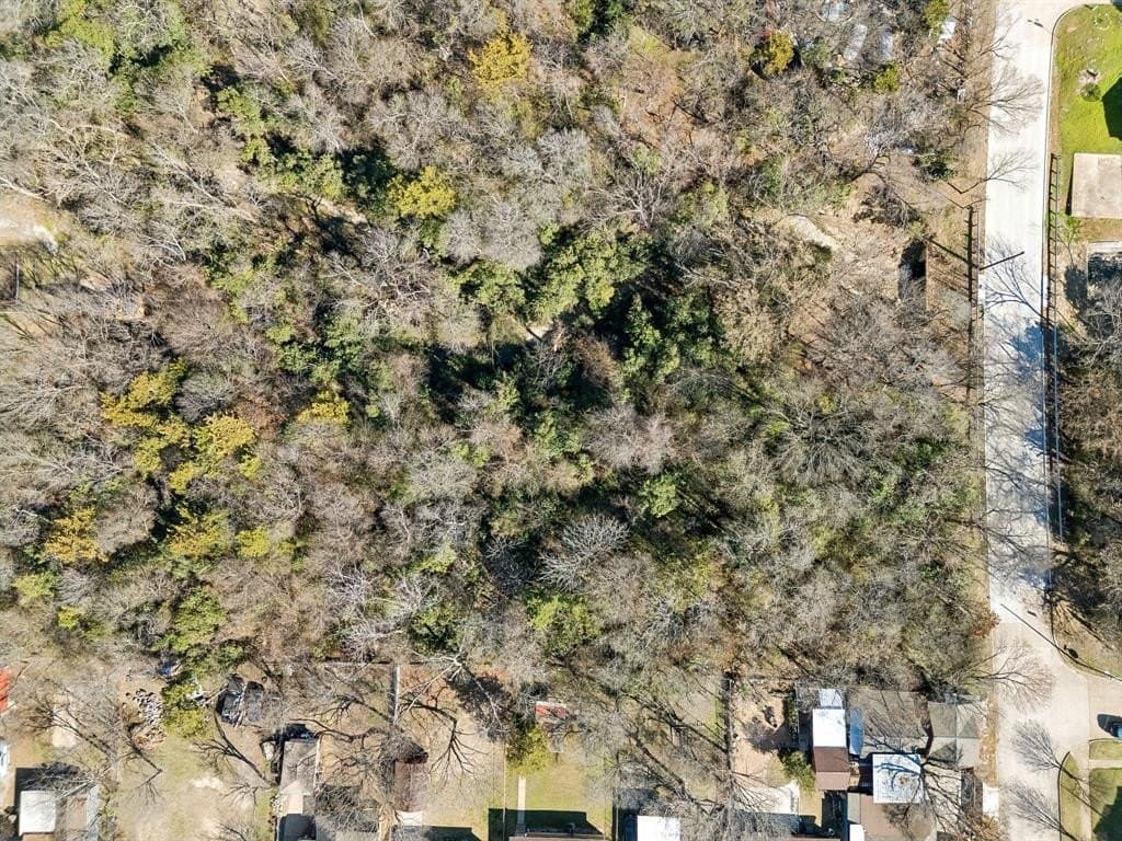 1.29 acres in Dallas County - photo 8