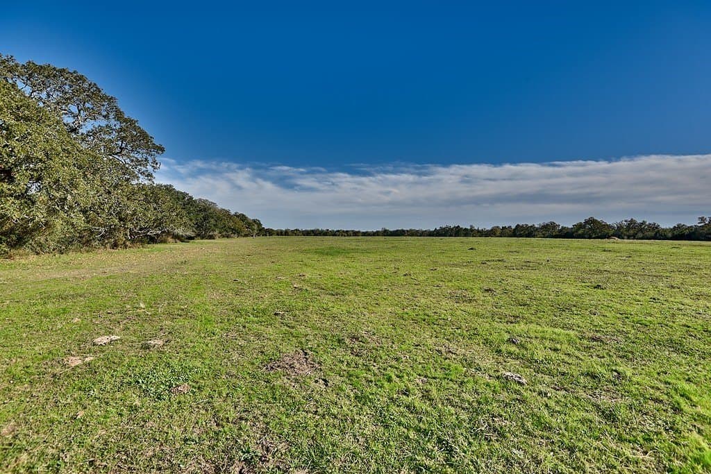 276.92 acres in Lee County - photo 2