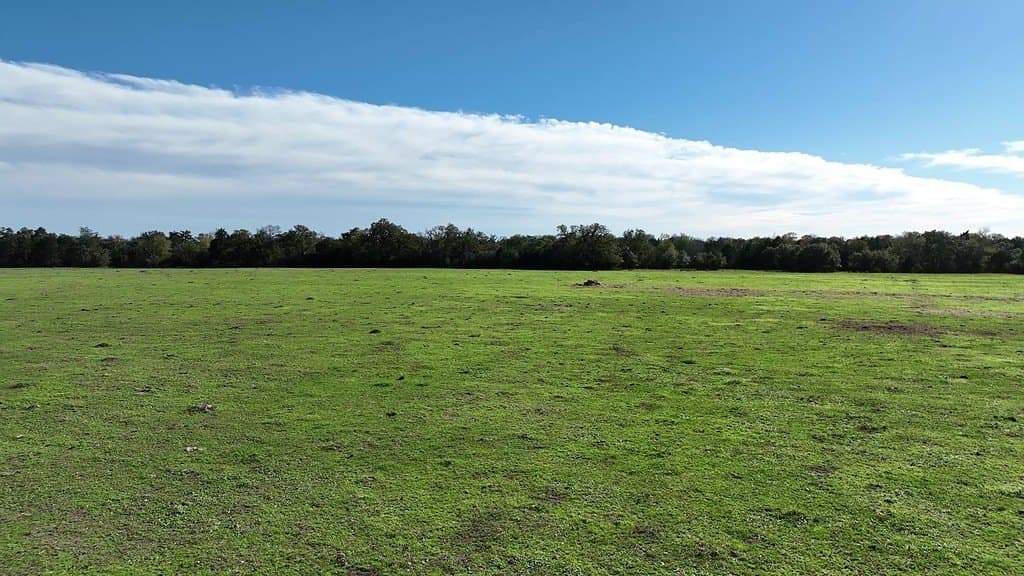 276.92 acres in Lee County - photo 4
