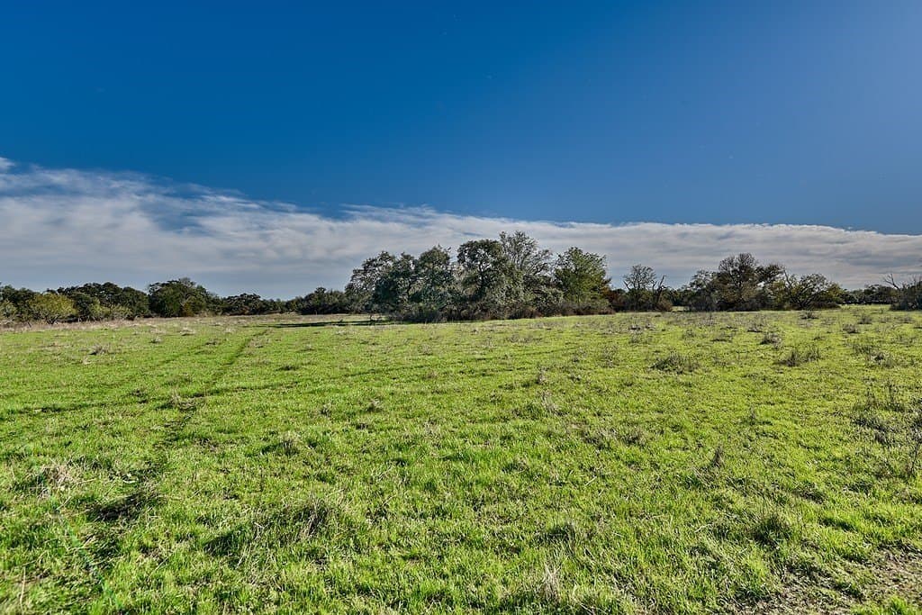 276.92 acres in Lee County - photo 5