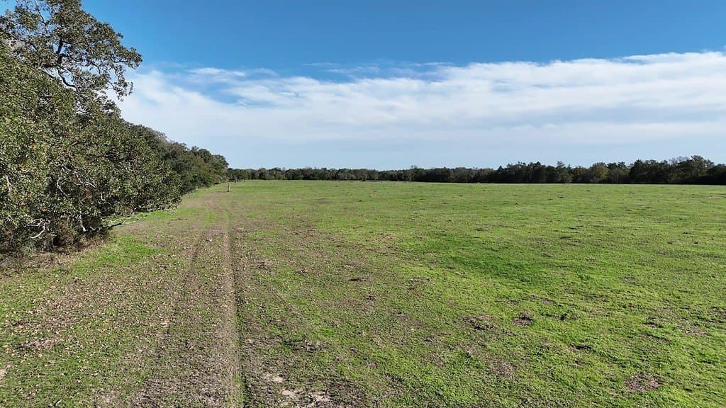 276.92 acres in Lee County - photo 3