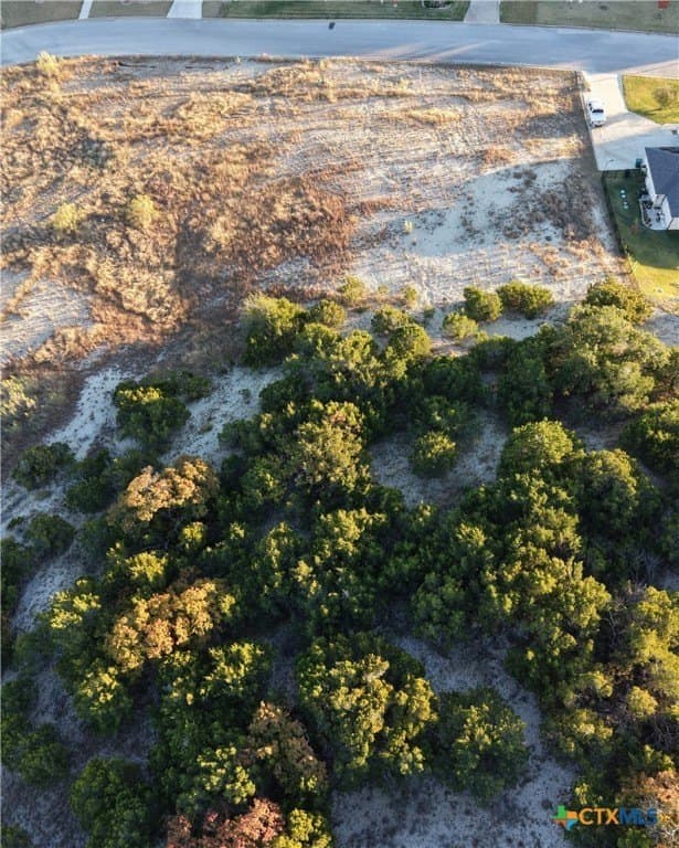 1.08 acres in Bell County - photo 6