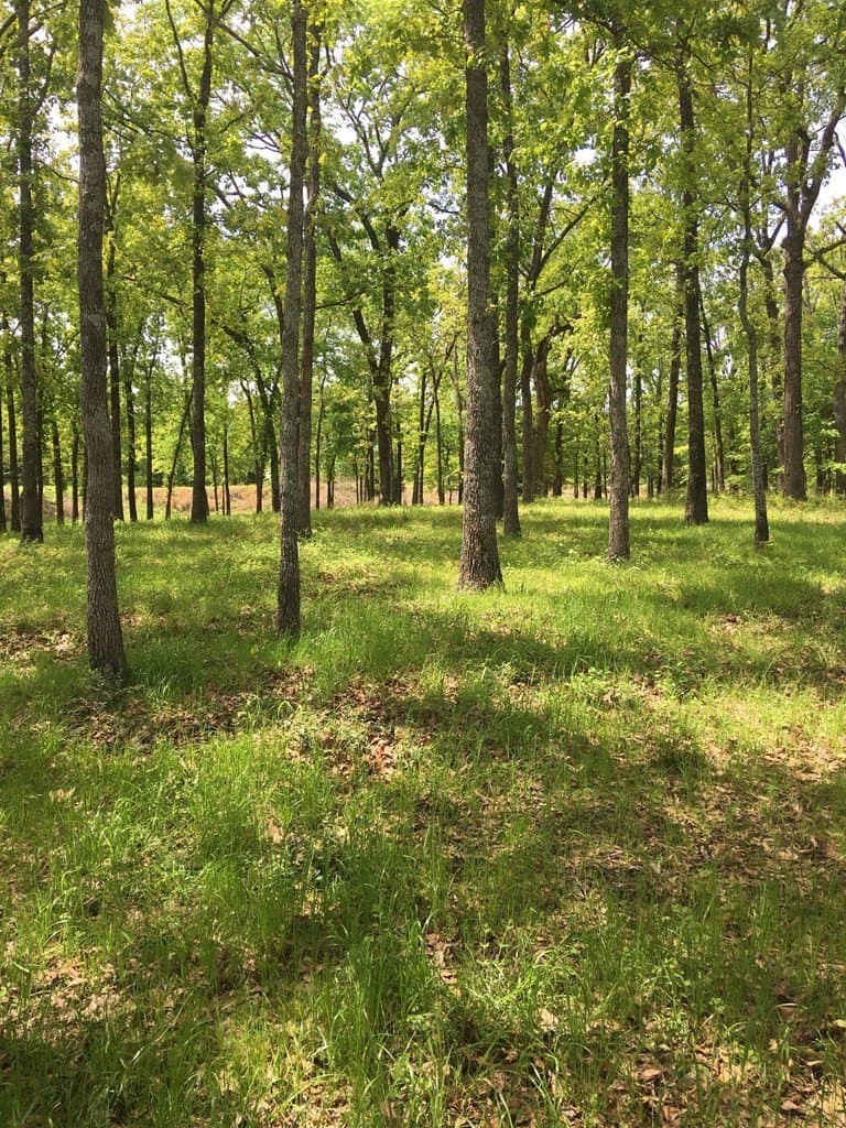 1 acres in Henderson County - photo 11