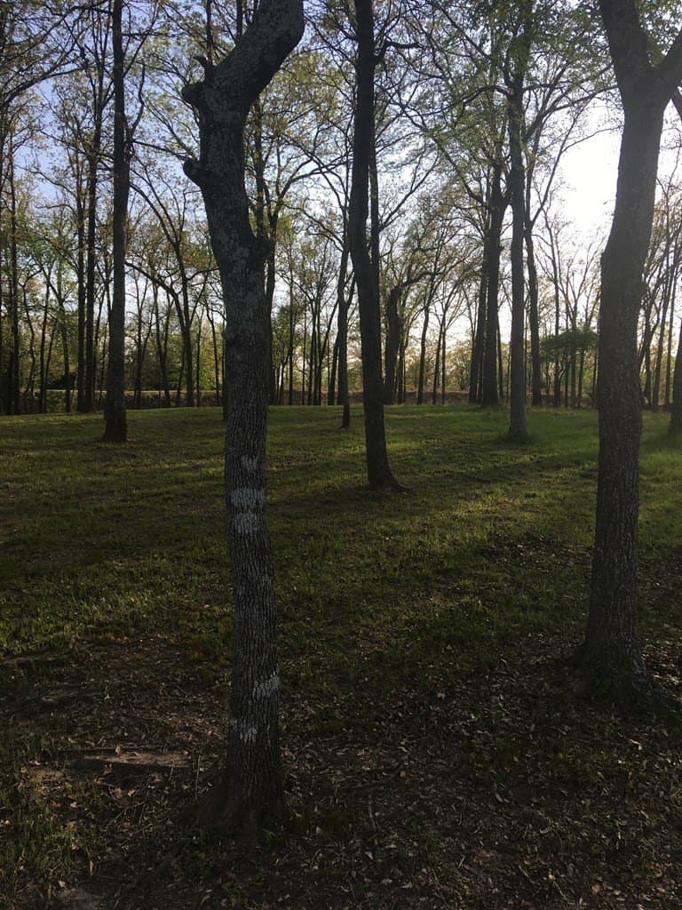 1 acres in Henderson County - photo 12