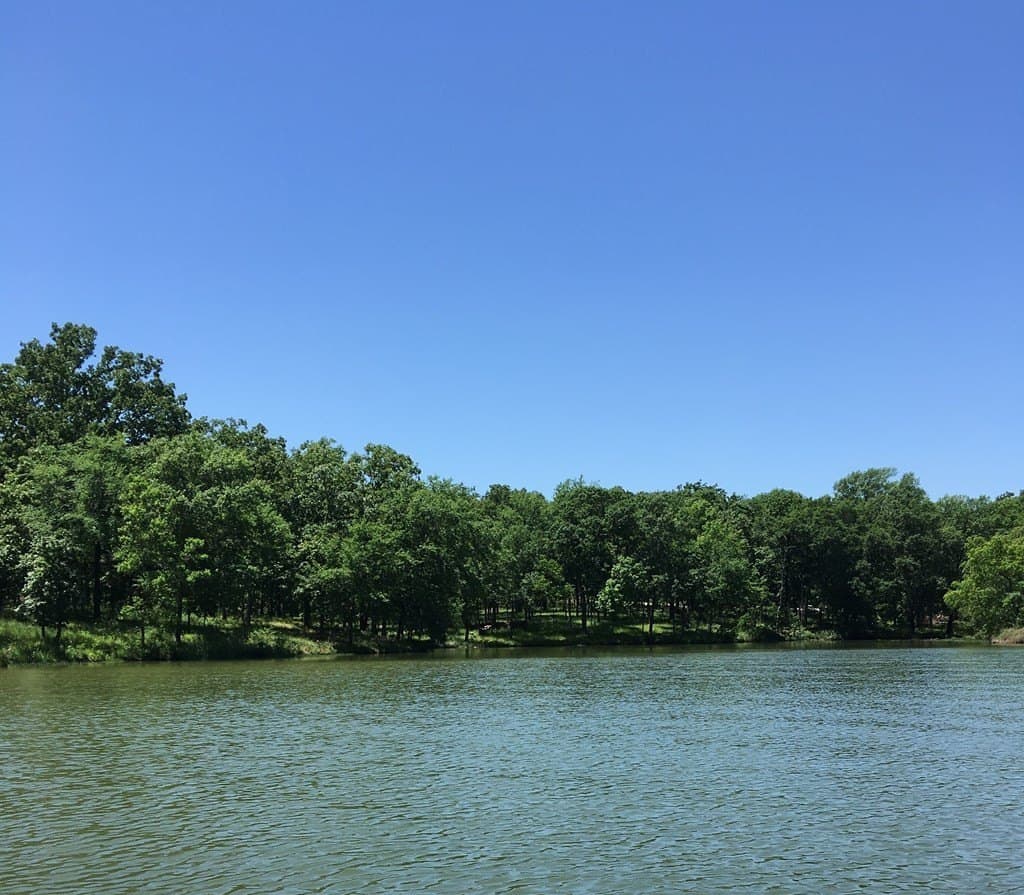 1 acres in Henderson County - photo 6