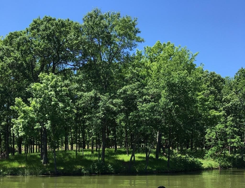 1 acres in Henderson County - photo 10