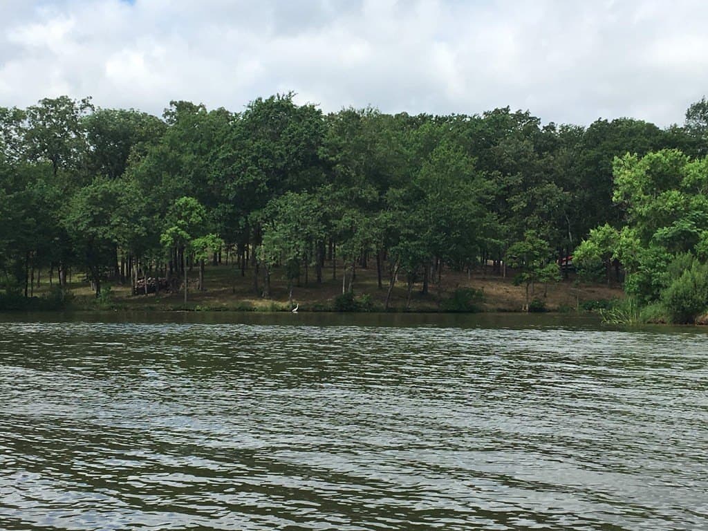 1 acres in Henderson County - photo 8