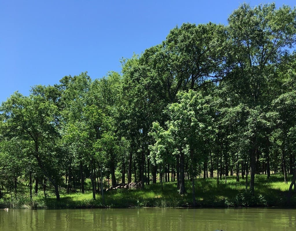 1 acres in Henderson County - photo 9