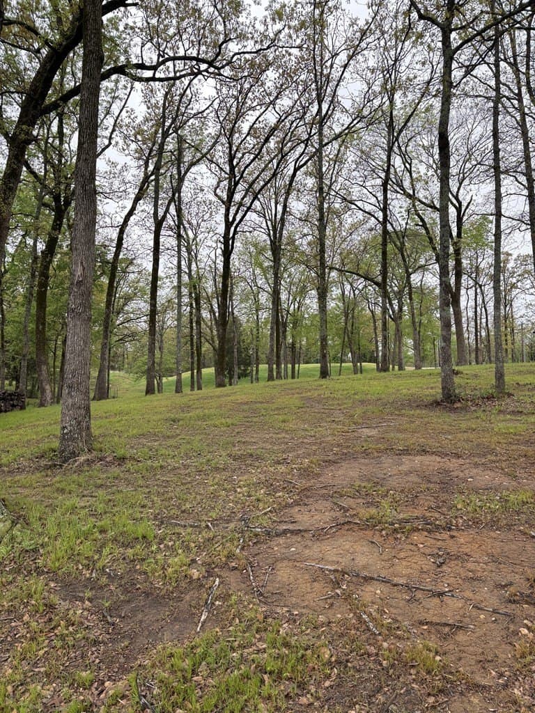 1 acres in Henderson County - photo 13