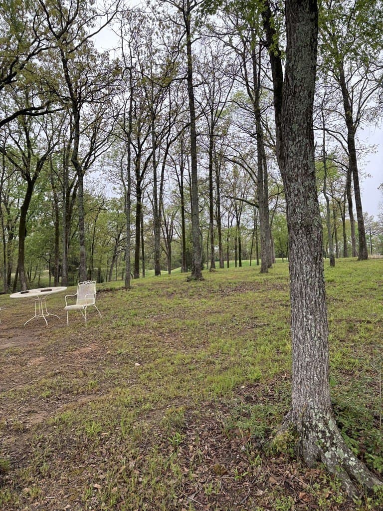 1 acres in Henderson County - photo 14