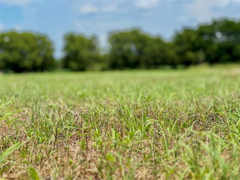 1.55 acres in Collin County - photo 2