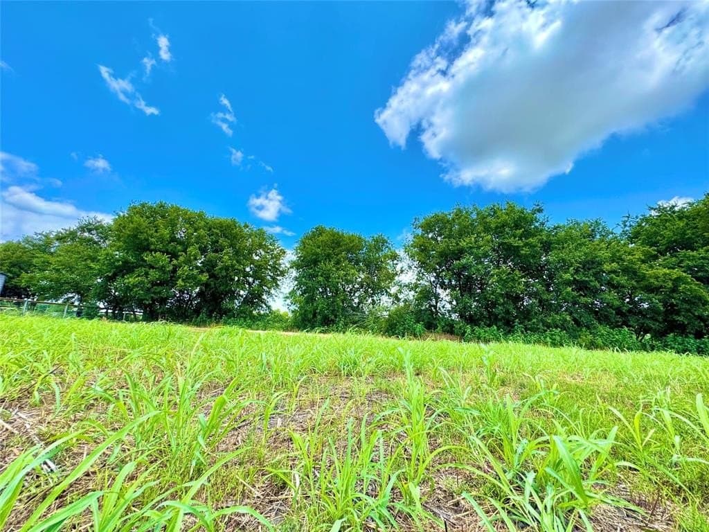 1.55 acres in Collin County - photo 11