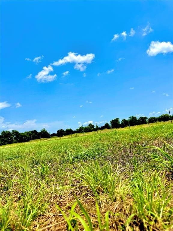 1.55 acres in Collin County - photo 4