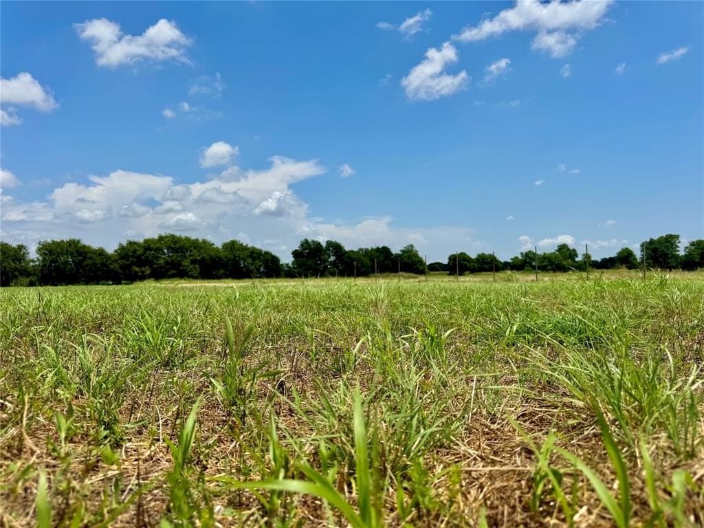 1.55 acres in Collin County - photo 3