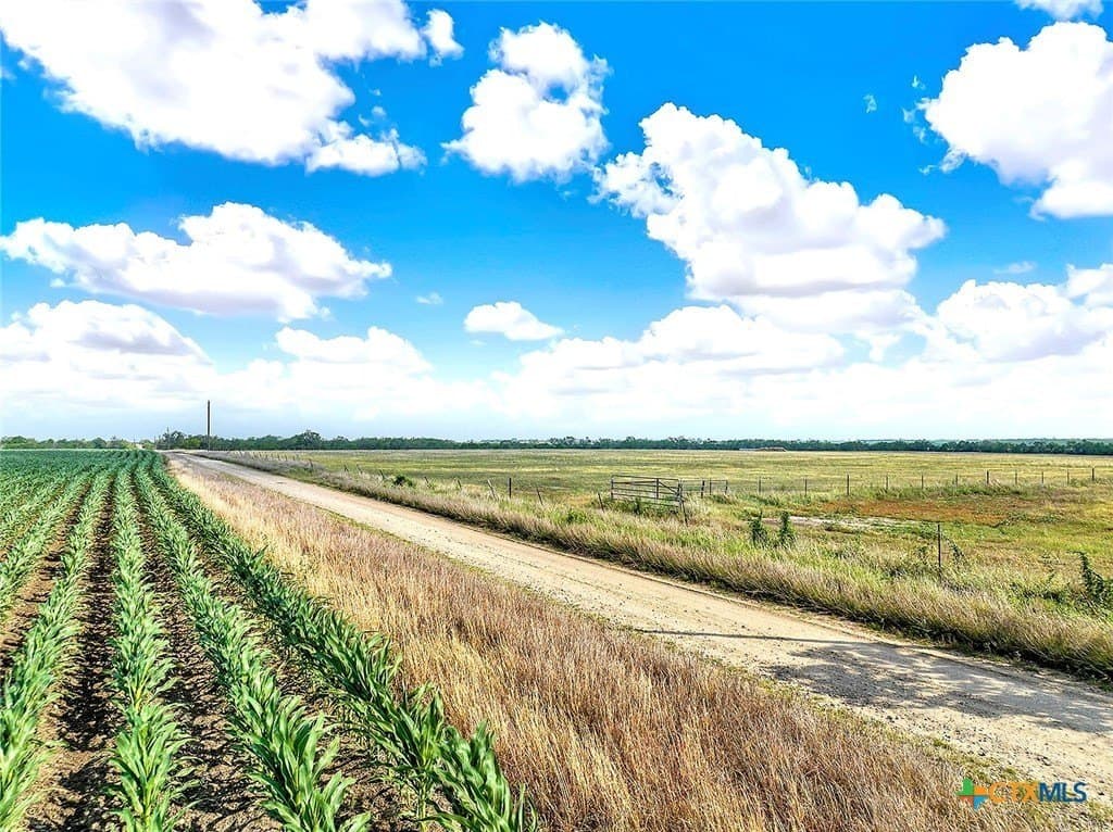 39.3 acres in Wilson County - photo 3