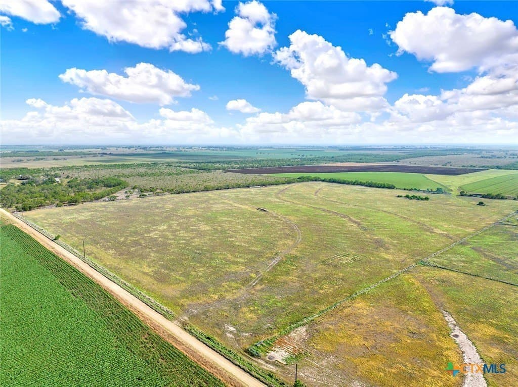 39.3 acres in Wilson County - photo 5