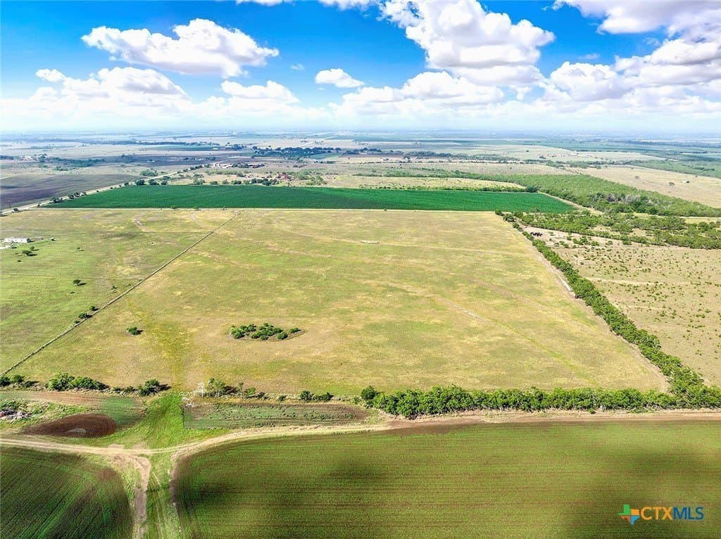39.3 acres in Wilson County - photo 8