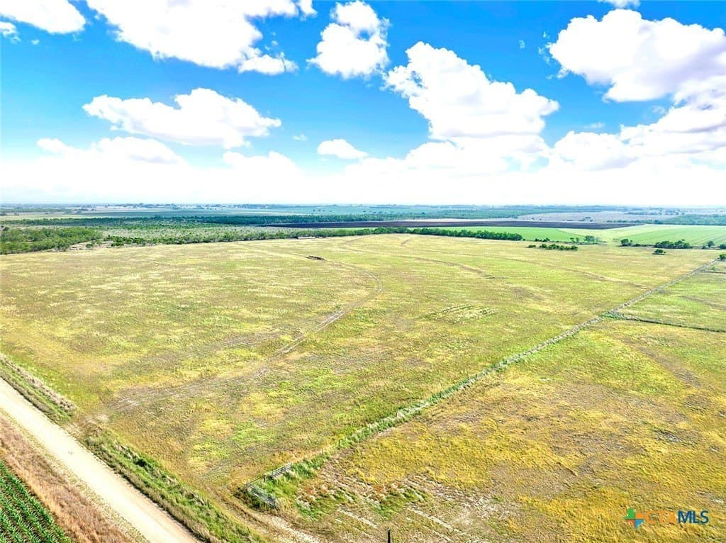 39.3 acres in Wilson County - photo 4