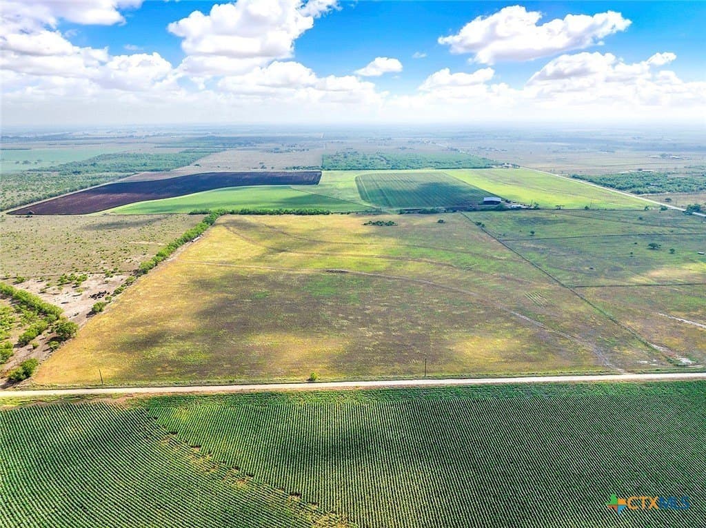 39.3 acres in Wilson County - photo 6