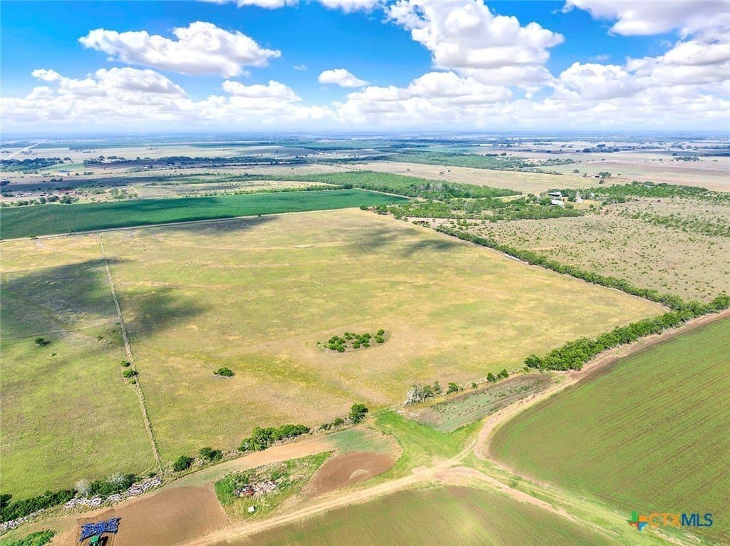 39.3 acres in Wilson County - photo 9