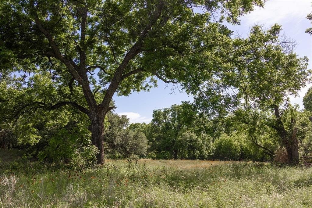 92.2 acres in Comanche County - photo 17