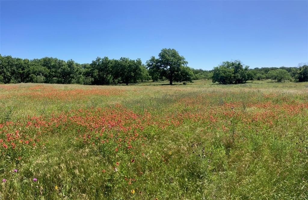 92.2 acres in Comanche County - photo 36