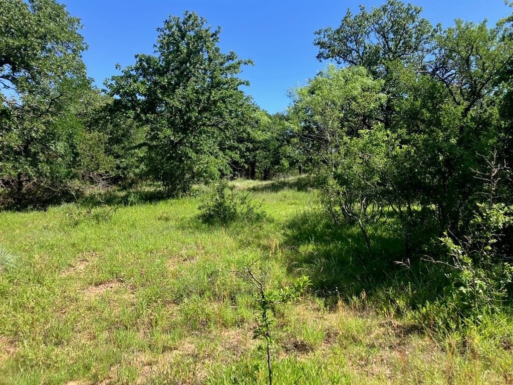 92.2 acres in Comanche County - photo 33