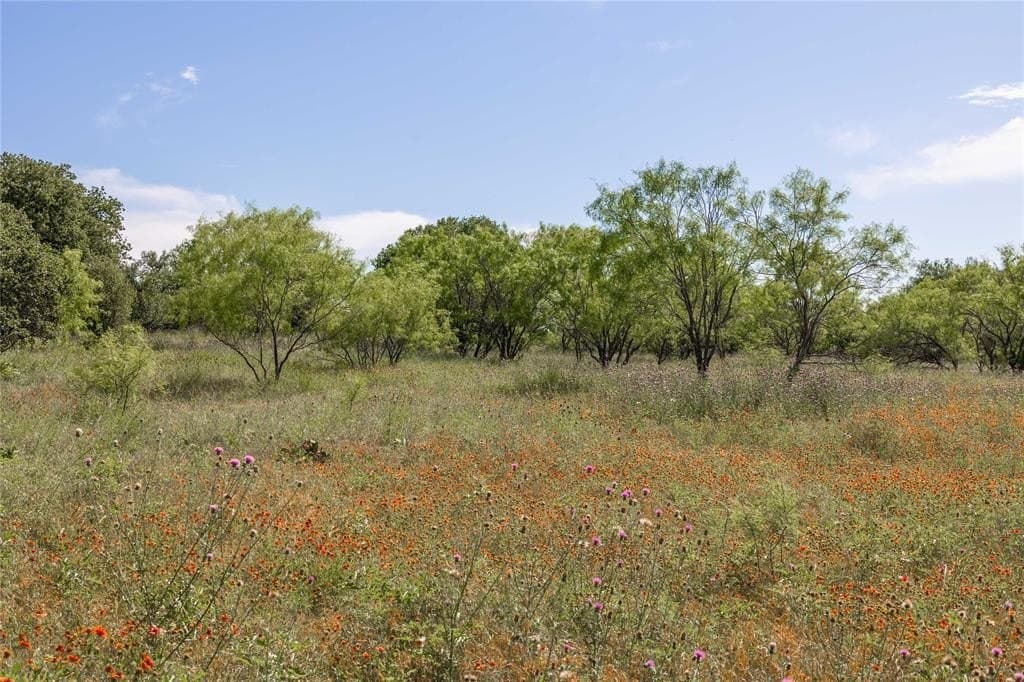 92.2 acres in Comanche County - photo 19
