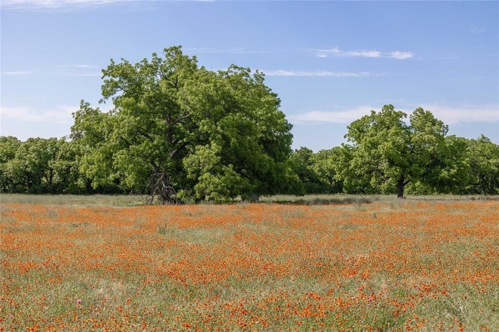 92.2 acres in Comanche County - photo 20