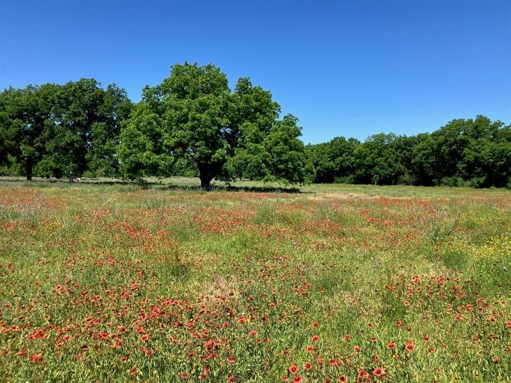 92.2 acres in Comanche County - photo 30