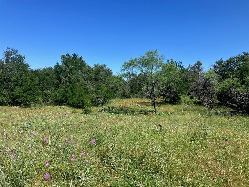 92.2 acres in Comanche County - photo 34