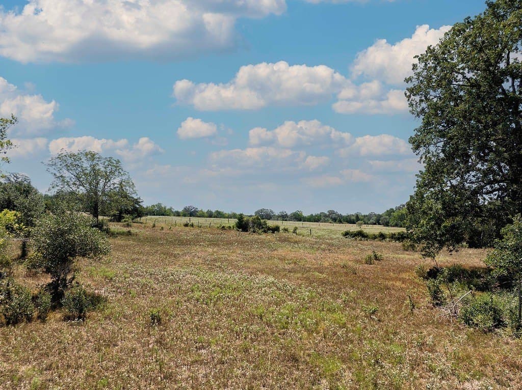 11 acres in Fayette County - photo 8