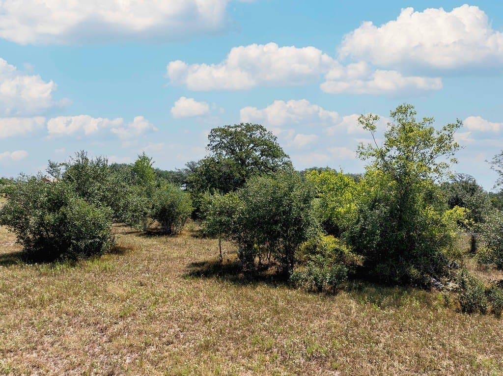 11 acres in Fayette County - photo 12