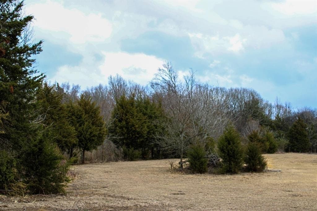 25 acres in Wood County - photo 23