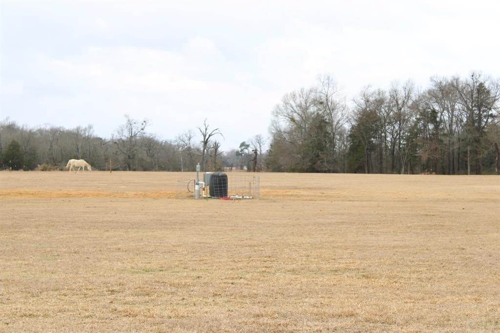 25 acres in Wood County - photo 29