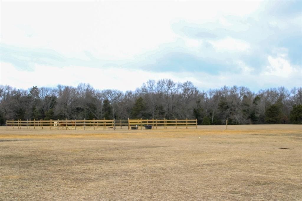 25 acres in Wood County - photo 33