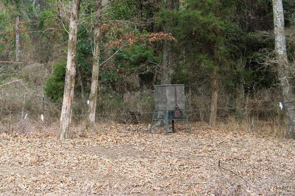 25 acres in Wood County - photo 19