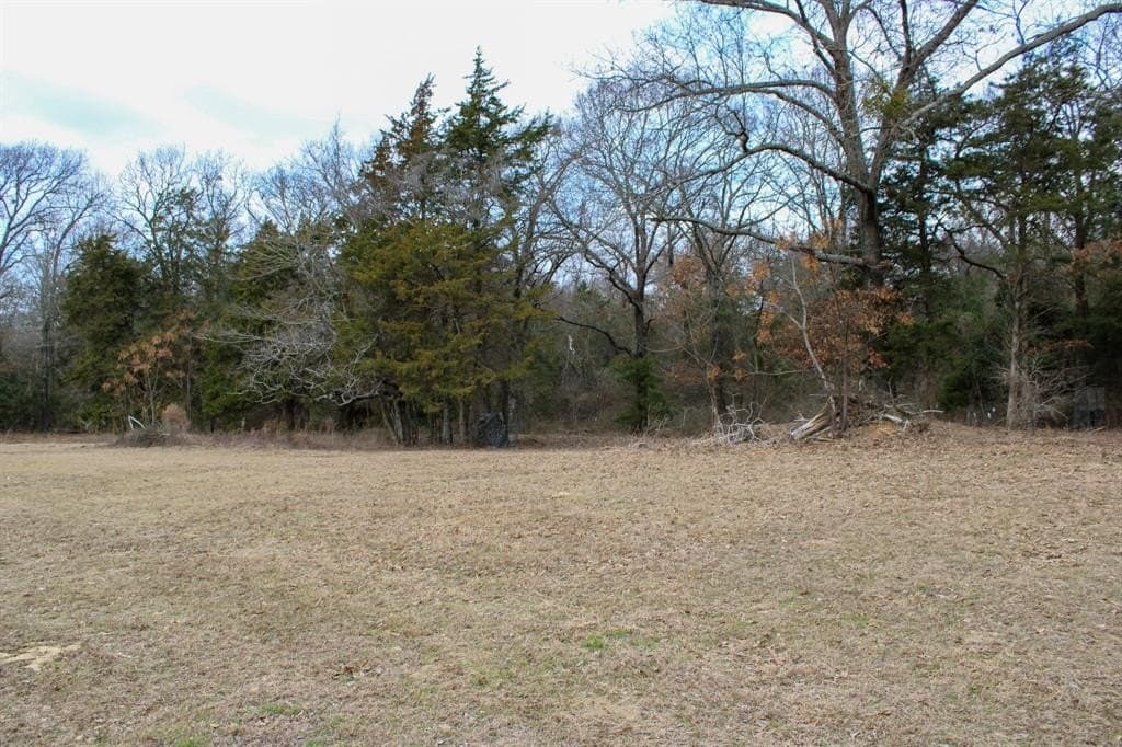 25 acres in Wood County - photo 20