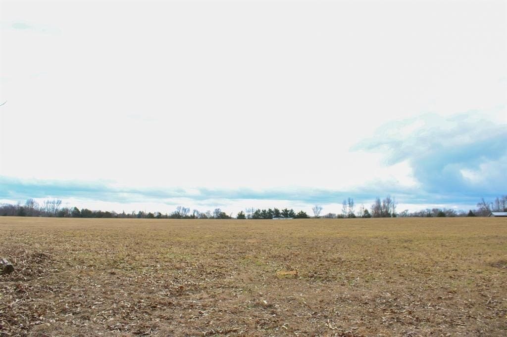 25 acres in Wood County - photo 17